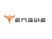Engwe EU