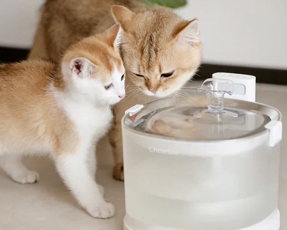 Kitty Spout, Cat Fountain