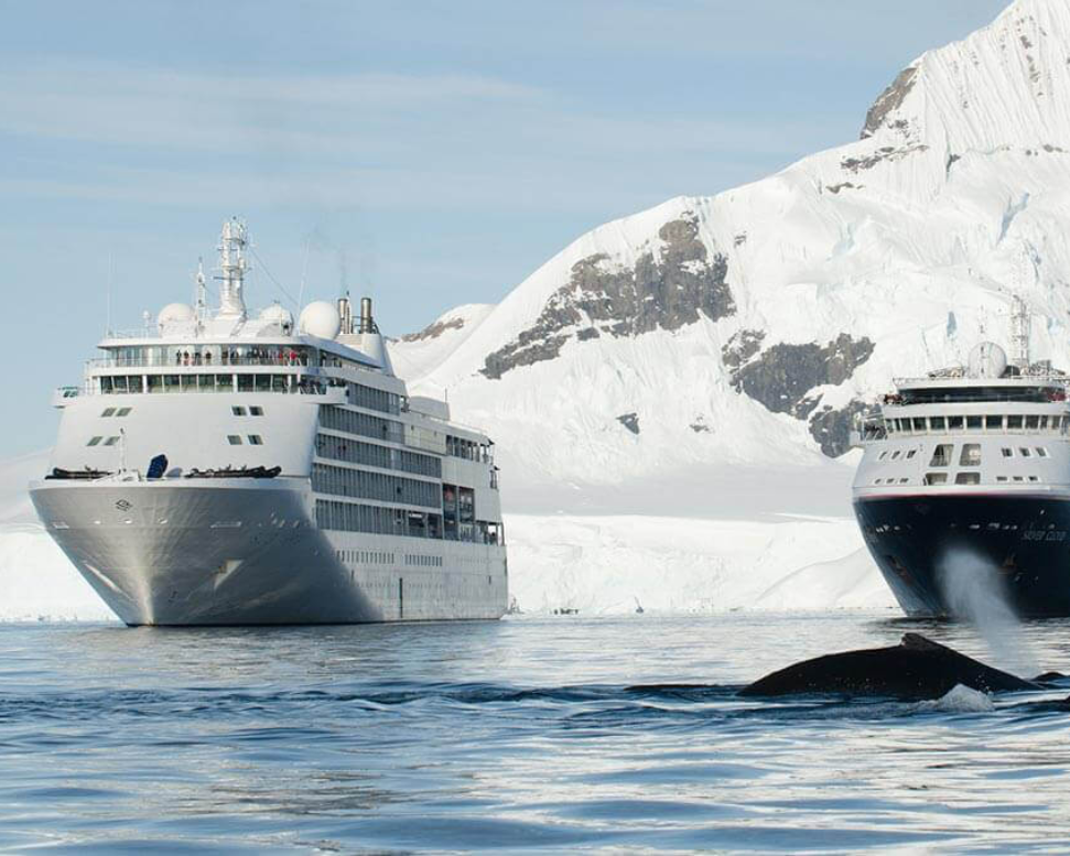 Antarctica Cruise Travel Guide: Everything You Need to Know With Silversea